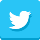 Twitter (40x40)