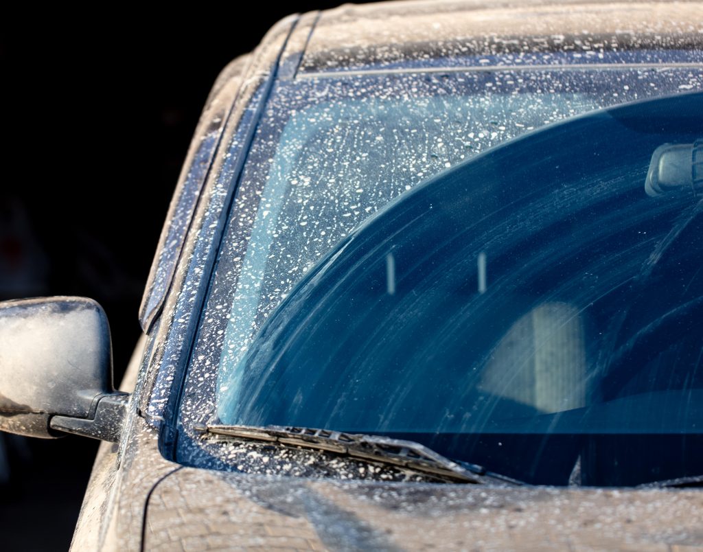 A dirty windscreen after driving during summer.
